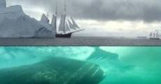 Ishavets Kæmpe streaming