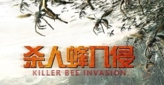 Killer Bee Invasion