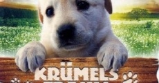 Krümels Traum - Ich will Polizeihund werden!