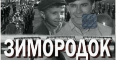 Zimorodok film complet