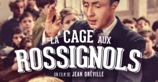 Filme completo La cage aux rossignols