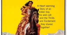 Indian Paint (1965)