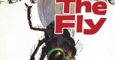 The Fly film complet