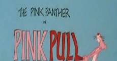 Blake Edwards' Pink Panther: Pink Pull (1979)
