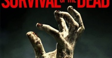 George A. Romero's ...of the Dead streaming