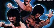 Bruce Lee - Seine Erben nehmen Rache streaming