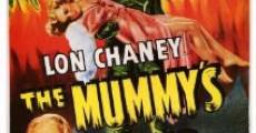 La tumba de la momia (1942) Online - Película Completa en Español - FULLTV