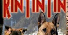 Filme completo Finding Rin Tin Tin