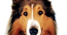 Lassie streaming