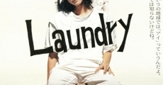 Laundry streaming