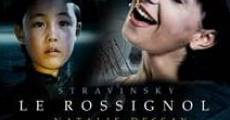 Le rossignol streaming