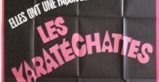 Les pornochattes streaming