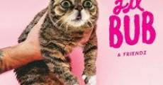 Lil Bub & Friendz film complet
