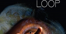 Loop (2007)