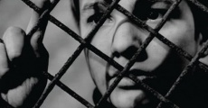 The 400 Blows streaming