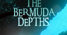 Dans les profondeurs du triangle des Bermudes streaming