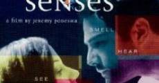 The Five Senses film complet