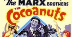 The Cocoanuts film complet
