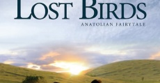 Filme completo Lost Birds