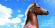 Filme completo Lost Stallions: The Journey Home