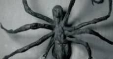 Louise Bourgeois: The Spider, the Mistress and the Tangerine streaming