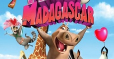 Madagascar à la folie streaming