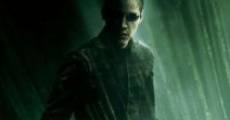 Matrix Revolutions