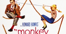 Monkey Business (aka Darling I Am Growing Younger) film complet