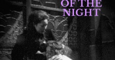 Filme completo Mulheres da Noite
