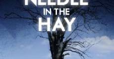 Needle in the Hay