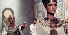 Filme completo Nefertiti, figlia del sole
