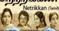Netri Kann (1981) stream