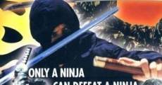 Ninja: The Story streaming