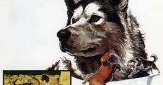 Filme completo Nikki, Wild Dog of the North