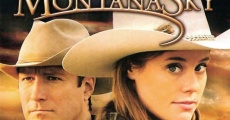 Montana Sky (aka Nora Roberts' Montana Sky)