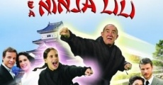 O Guerreiro Didi e a Ninja Lili