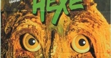 Olle Hexe streaming