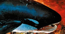 Orca, der Killerwal streaming