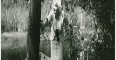På livets ödesvägar (1913) stream