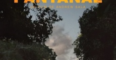 Pantanal film complet