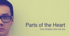 Parts of the Heart