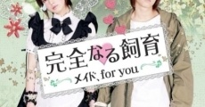 Kanzen naru shiiku: Meido, for you film complet