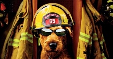 Firehouse Dog film complet