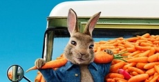 Peter Rabbit 2: The Runaway film complet