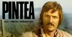 Pintea (1976) stream