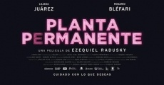 Planta permanente (2019)