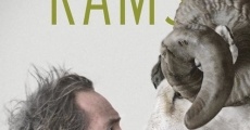 Rams - Storia di due fratelli e otto pecore