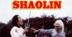 Rebell der Shaolin streaming