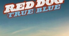 Blue, mon chien d'Australie streaming