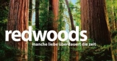 Redwoods streaming